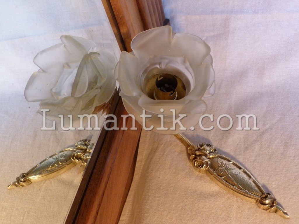 Applique bronze et tulipe forme rose