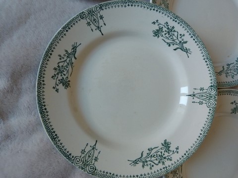 Lot 6 assiettes plates anciennes St Amand modèle 4003