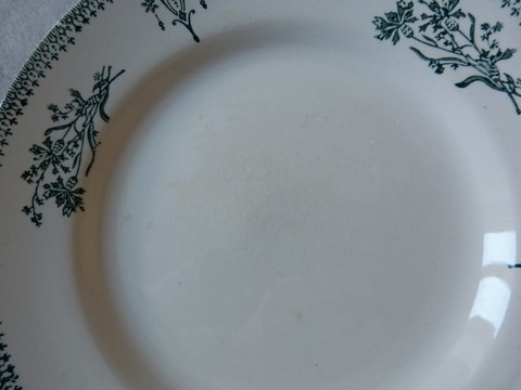 Lot 6 assiettes plates anciennes St Amand modèle 4003