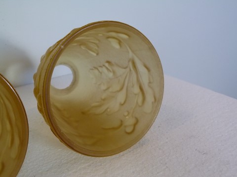 Lot 3 tulipes anciennes ambrées feuilles de chêne