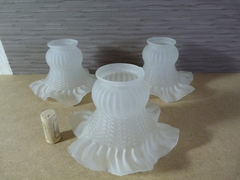 lot 3 tulipes pour lustre ou applique