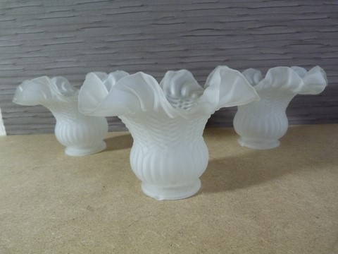 lot 3 tulipes pour lustre ou applique